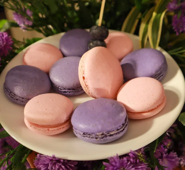 Colorful macarons on display for birthday party catering by Sar V Sri